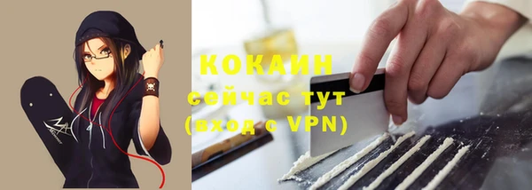 дмт Лабытнанги