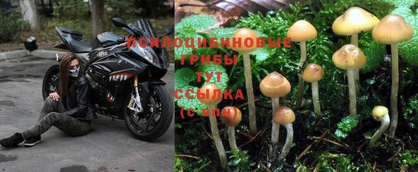 дмт Лабытнанги
